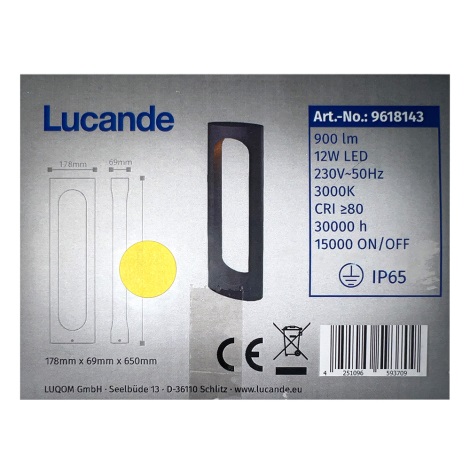 Lucande - Lámpara LED de exterior FENTI LED/12W/230V IP65