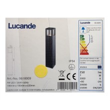 Lucande - Lámpara LED de exterior NICOLA LED/7W/230V IP54