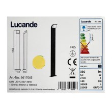 Lucande - Lámpara LED de exterior TINNA LED/6,3W/230V IP65