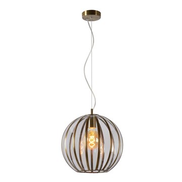 Lucide 25404/30/03 - Lámpara colgante TIMIUS 1xE27/60W/230V