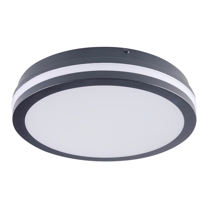 Luminaria LED de exterior BENO LED/24W/230V 4000K antracita IP54