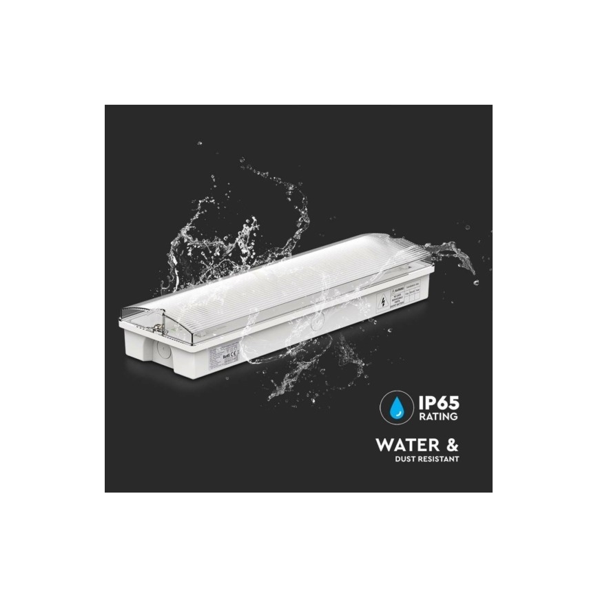 Luz de emergencia LED EMERGENCY EXIT LED/3W/230V 6400K IP65