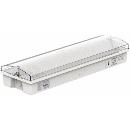 Luz de emergencia LED con una prueba de funcionalidad estándar EMERGENCY EXIT LED/3W/230V 6400K IP65