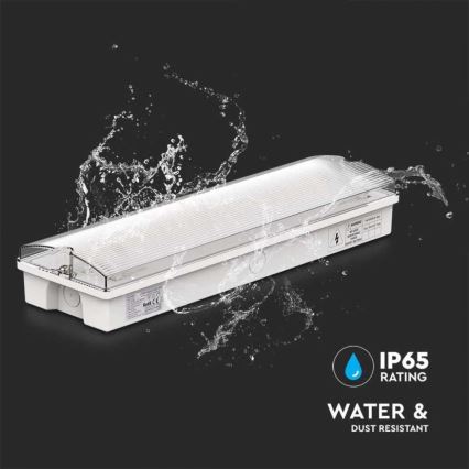 Luz de emergencia LED con una prueba de funcionalidad estándar EMERGENCY EXIT LED/3W/230V 6400K IP65