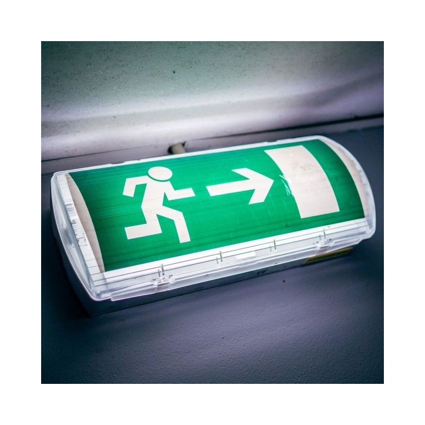 Luz de emergencia LED EMERGENCY EXIT LED/3W/230V IP65 6000K 1200mAh