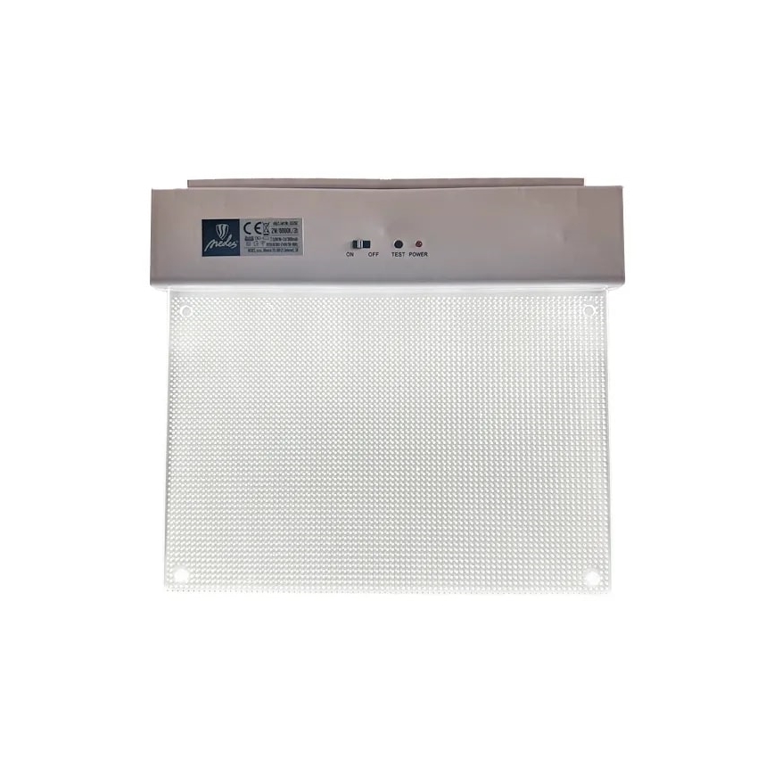 Luz de emergencia LED LED/2W/230V 6000K