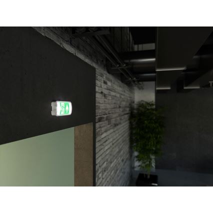 Luz de emergencia LED VIRGO EVO LED/1W/230V 6000K IP65