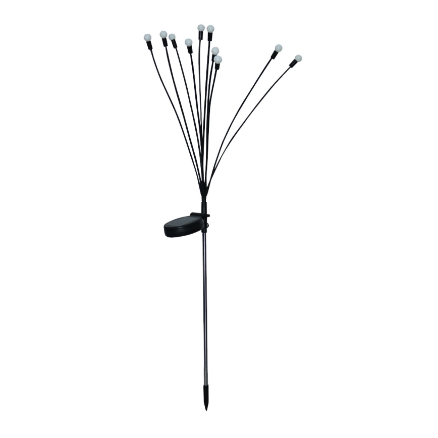 Luz decorativa solar LED 10xLED/1,2V 3000K 73 cm 600 mAh IP44