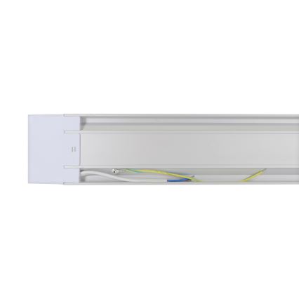 Luz LED fluorescente AVILO 120 LED/36W/230V