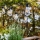 Markslöjd 107293 - Cadena decorativa LED para exteriores GUIRNALDA GARDEN 10xLED 5,5m IP44