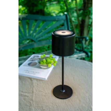 Markslöjd 108657 - Lámpara LED recargable y regulable FILO LED/2W/5V IP44 30cm negro
