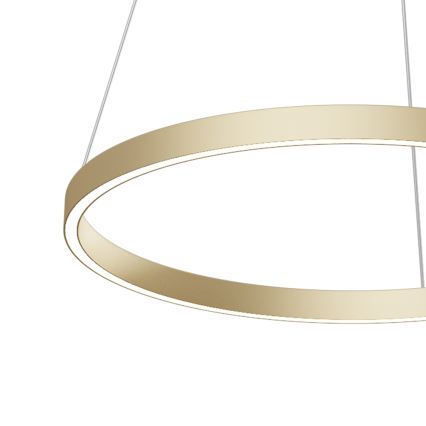 Maytoni MOD058PL-L32BS4K - Lámpara LED colgante RIM LED/37W/230V 4000K diá. 60 cm dorado