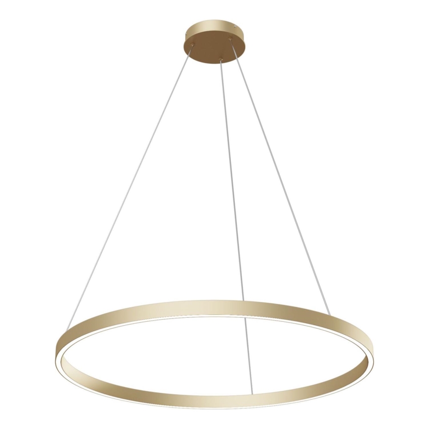 Maytoni MOD058PL-L42BS4K - Lámpara LED colgante RIM LED/51W/230V 4000K diá. 80 cm dorado