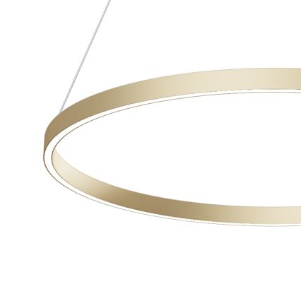 Maytoni MOD058PL-L42BS4K - Lámpara LED colgante RIM LED/51W/230V 4000K diá. 80 cm dorado