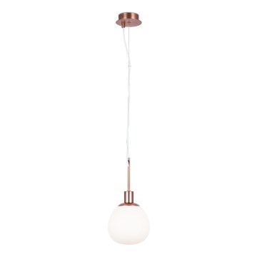 Maytoni MOD221-PL-01-G - Lámpara colgante ERICH 1xE14/40W/230V cobre