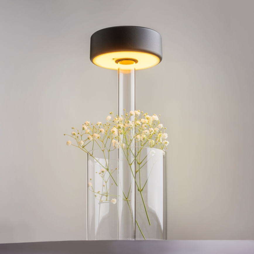 Maytoni MOD229TL-L3B3K1 - Lámpara de mesa portátil regulable LED 3W/5V negro/transparente