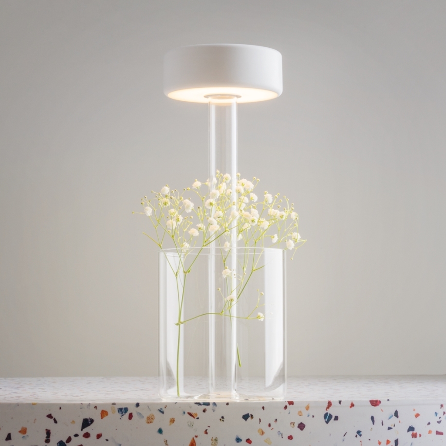 Maytoni MOD229TL-L3W3K1 - LED Regulable Recargable portátil lámpara de mesa LED/3W/5V 2200-4000K blanco/transparente