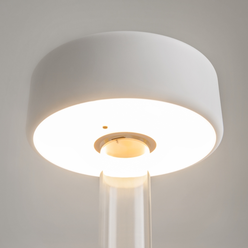 Maytoni MOD229TL-L3W3K1 - LED Regulable Recargable portátil lámpara de mesa LED/3W/5V 2200-4000K blanco/transparente