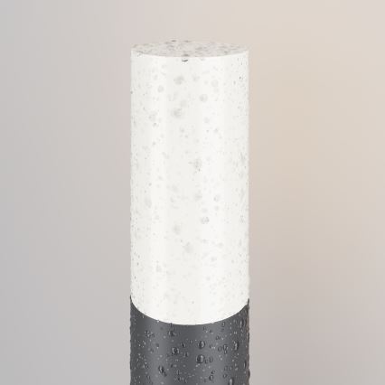 Maytoni O418FL-01GR - Lámpara de exterior WILLIS 1xE27/60W/230V 30 cm IP54 antracita