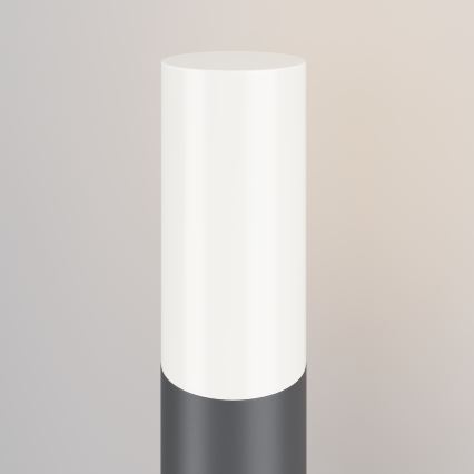 Maytoni O418FL-01GR1 - Lámpara de exterior WILLIS 1xE27/60W/230V 80 cm IP54 antracita