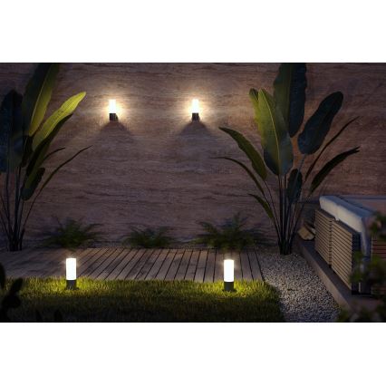 Maytoni O418WL-01B - Aplique de exterior WILLIS 1xE27/60W/230V IP54 negro