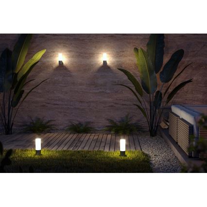 Maytoni O418WL-01GR - Aplique de exterior WILLIS 1xE27/60W/230V IP54 antracita