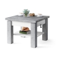 Mesa de centro plegable con tablero elevable con estante CALEB gris/blanco