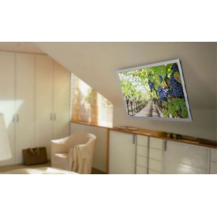 MK FLORIA MKF-20DM444 - Soporte inteligente de techo para TV 55" negro Wi-Fi TUYA + control remoto