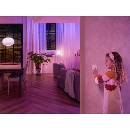 Módulo interruptor de pared Philips Hue SWITCH