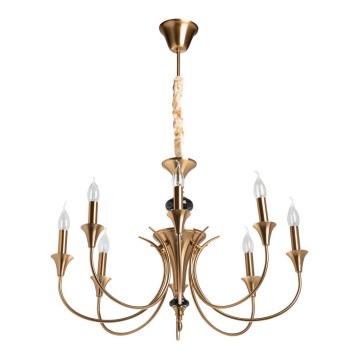 MW-LIGHT 614013208 - Lámpara de araña con cadena CONSUELO 8xE14/40W/230V