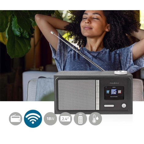 Nedis RDIN3000BK - Radio por Internet multifunción 18W/230V FM Wi-Fi  Bluetooth + CR
