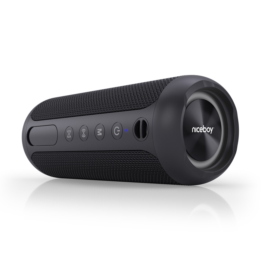 Niceboy Polaris - LED Altavoz inalámbrico con un micrófono 30W/4000 mAh IPX7 negro