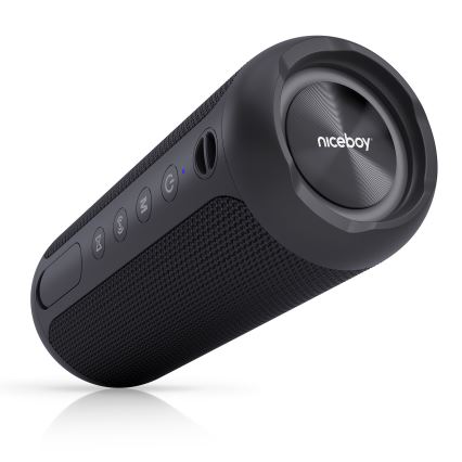 Niceboy Polaris - LED Altavoz inalámbrico con un micrófono 30W/4000 mAh IPX7 negro
