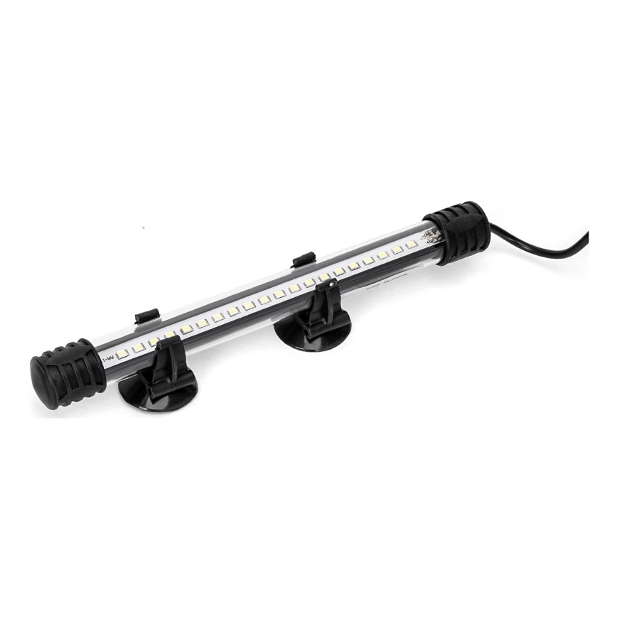 Nobleza - LED Iluminación para acuarios LED/1W/230V IPX7 20 cm