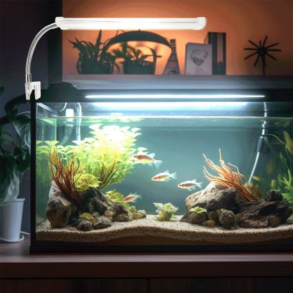 Nobleza - LED Iluminación para acuarios LED/6W/230V IPX7 23 cm