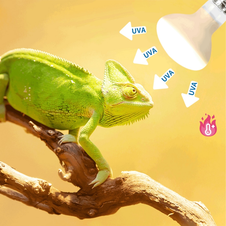 Nobleza - UVA Bombilla para terrarios E27/25W/230V IP54