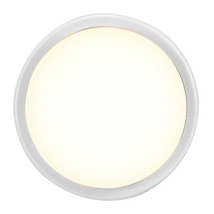 Nordlux - Aplique LED para exterior CUBA LED/6,5W/230V IP54 diá. 17,5 cm blanco