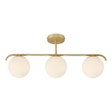 Nordlux - Lámpara colgante GRANT 3xE14/25W/230V dorado