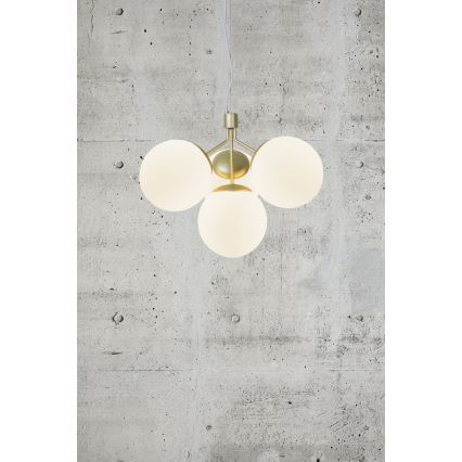 Nordlux - Lámpara colgante IVONA 4xE27/28W/230V dorado