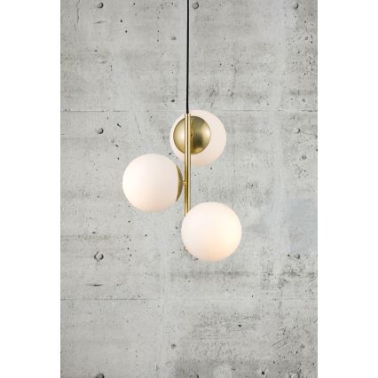 Nordlux - Lámpara colgante LILLY 3xE14/40W/230V dorado