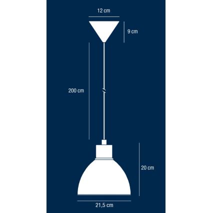 Nordlux - Lámpara colgante POP 1xE27/40W/230V negro/dorado