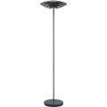 Nordlux - Lámpara de pie BRETAGNE 1xG9/25W/230V antracita