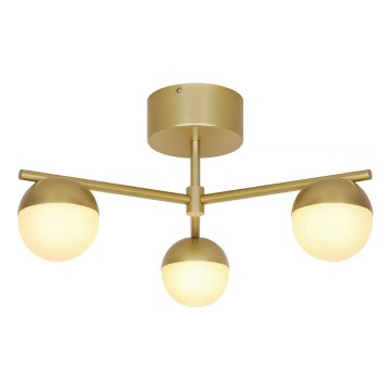 Nordlux - Lámpara de techo CONTINA 3xG9/5W/230V latón