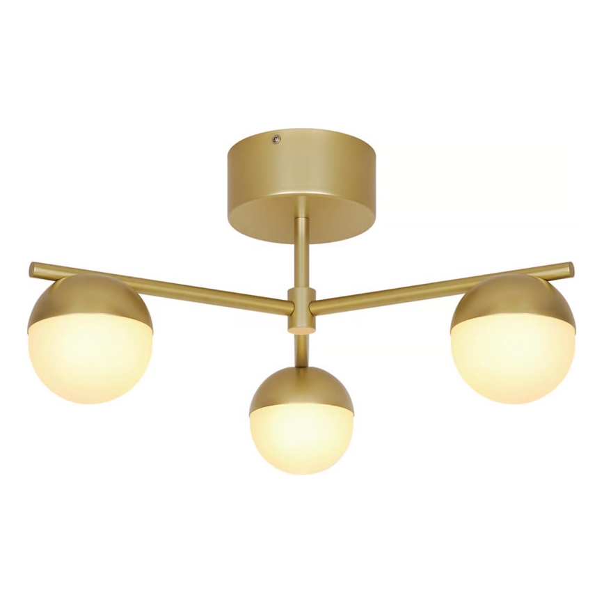 Nordlux - Lámpara de techo CONTINA 3xG9/5W/230V latón