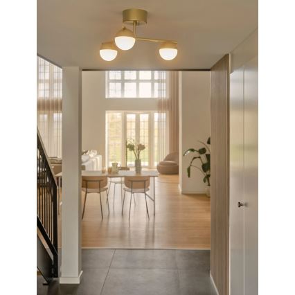 Nordlux - Lámpara de techo CONTINA 3xG9/5W/230V latón