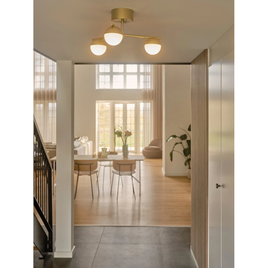 Nordlux - Lámpara de techo CONTINA 3xG9/5W/230V latón
