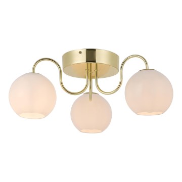 Nordlux - Lámpara de techo FRANCA 3xE14/40W/230V