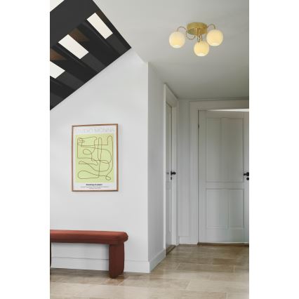 Nordlux - Lámpara de techo FRANCA 3xE14/40W/230V