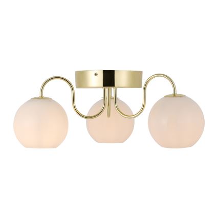 Nordlux - Lámpara de techo FRANCA 3xE14/40W/230V