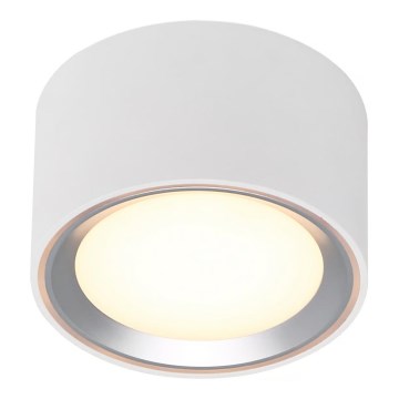 Nordlux - Plafón LED regulable FALLON LED/5,5W/230V 2700K blanco